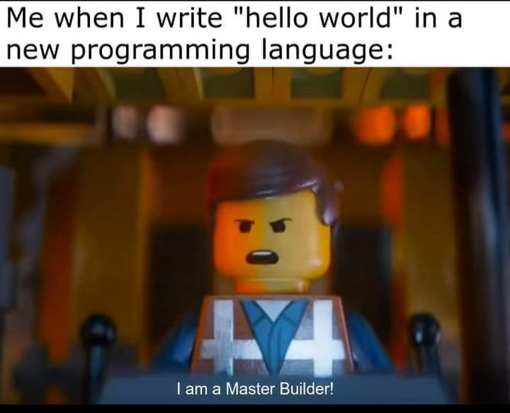 Function structure and organization